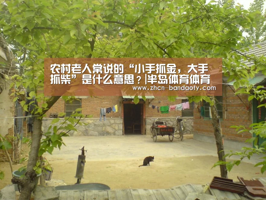 农村老人常说的“小手抓金,大手抓柴”是什么意思?|半岛体育体育网(图2) 半岛体育下载