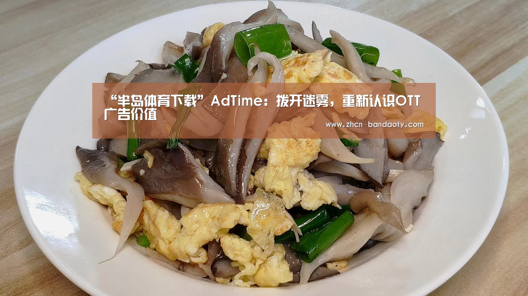 半岛体育体育娱乐