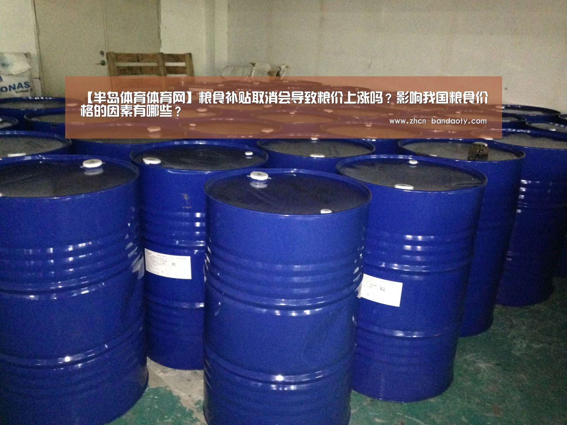 半岛体育体育网